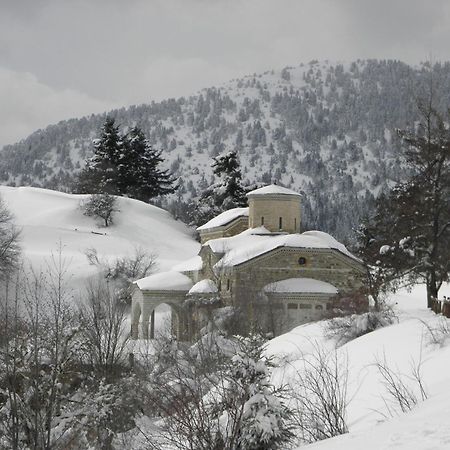 Guesthouse Theodorou Elati  Exterior photo