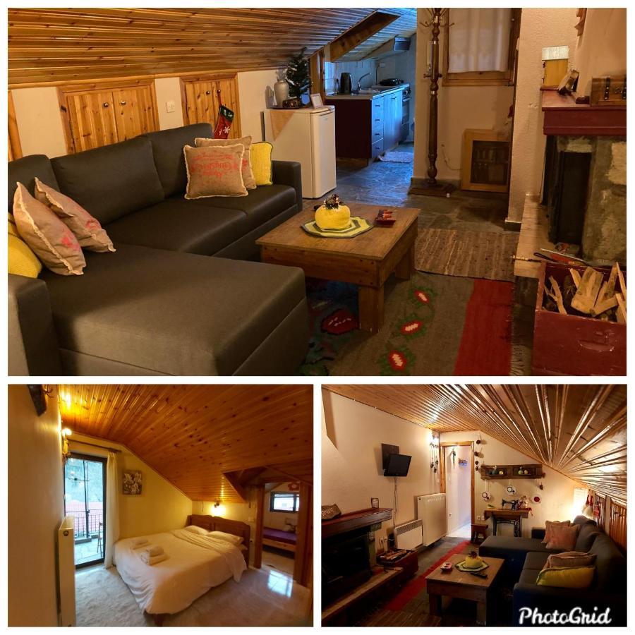 Guesthouse Theodorou Elati  Exterior photo