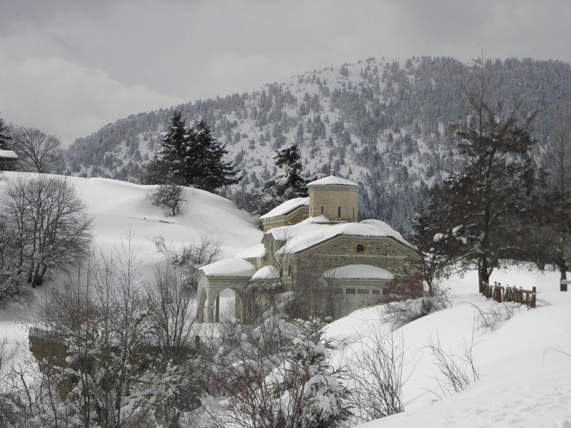 Guesthouse Theodorou Elati  Exterior photo